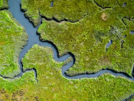 An aerial view of a river surrounded by green grass. Exponent exposure assessments, environmental forensics, and remediation support.