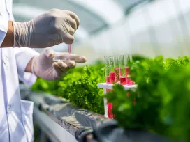 Plant Science & Pathology