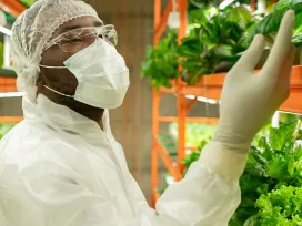 Intake & Dietary Risk/Safety Assessments