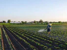 Chemical Regulatory Support in the US