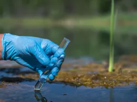 A worker's gloved hand holds a test tube with a water sample against the background of a natural landscape