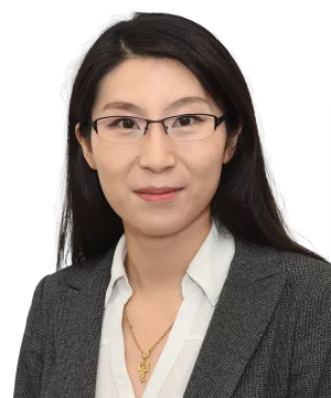 Lijie Yang, Ph.D.